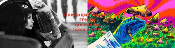 марки nbome Горнозаводск