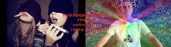 марки nbome Горнозаводск